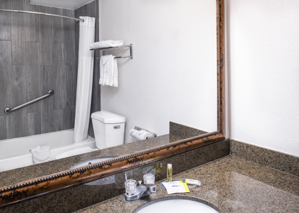 Wash Basin