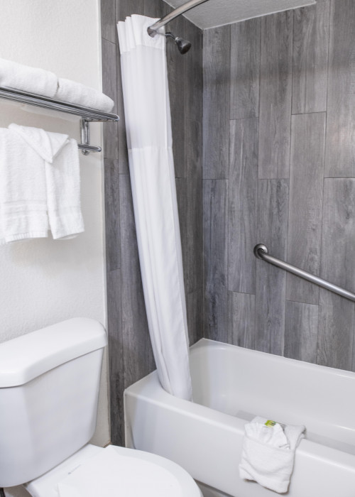 Bathtub and Toilet